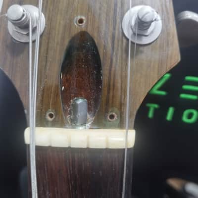 Bc Rich Seagull 1975 transblue with coffin case image 16