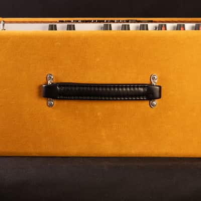 Amplified Nation Dirty Wonderland 2021 - Buckskin Suede 50 Watt image 3