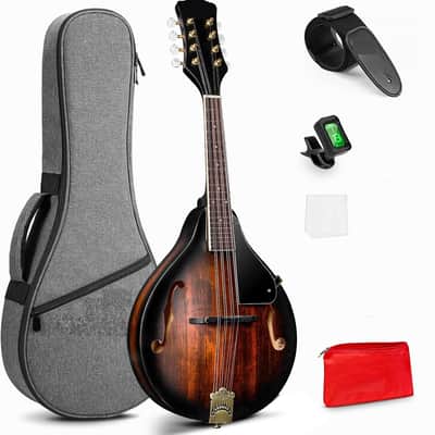 Vintage Early 90's Samick SM20E Electric/Acoustic Mandolin Plays