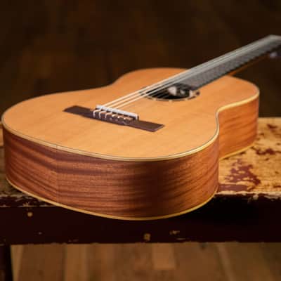 Ortega R131 Family Series Pro Solid Cedar Top Mahogany Neck Nylon 6-String Classical Acoustic Guitar w/Gig Bag image 12