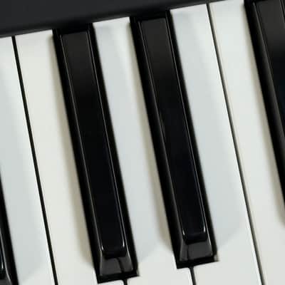 Immagine Waldorf STVC String Synthesizer / Vocoder - 8