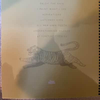 Good Tiger - A Head Full of Moonlight - Guitar tab / Tablature Book image 2