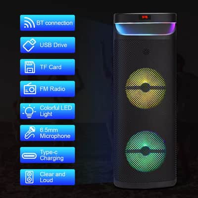 Portable Dual 10” Woofers PA Speaker for Musicians – Bluetooth, Light Show & Microphone image 4