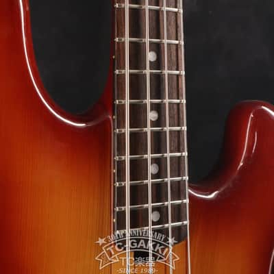 Fernandes 1979-1981 FPM-100 image 3