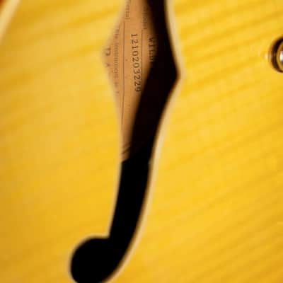 Epiphone Wildkat Semi-Hollow Electric Guitar - Antique Natural with Hardshell Case - Used image 13