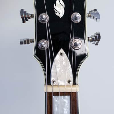 Harmony H620 Single Cut Semi-Hollowbody (~2008) image 9