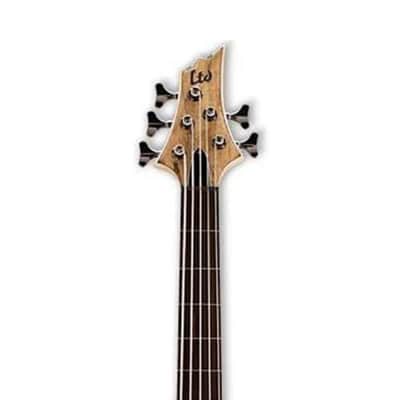ESP LTD B-205SMFL Fretless 5-String Bass image 4