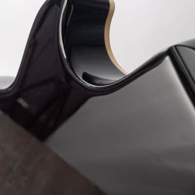 Gibson Slash Les Paul Standard, November Burst | Demo image 22