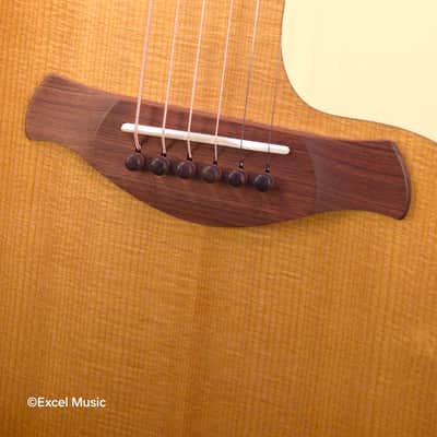 Taylor Gold Label 714e SB Super Auditorium w/HardCase | LR Baggs Element VTC Electronics | Fanned V-Class Bracing | Action Control Neck (Mint Demo Unit) image 8