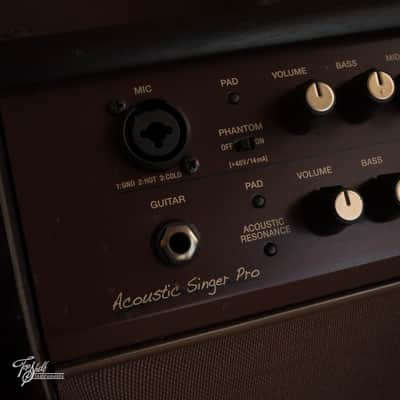 Boss Acoustic Singer Pro 120w 1x8" Stage Amp 2021 image 6