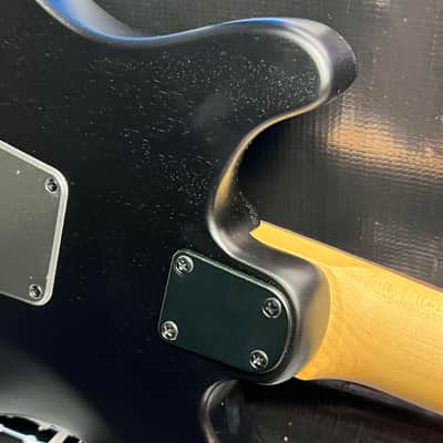 PRS SE Swamp Ash CE 24 Sandblasted 2024 - Sandblasted Blue image 9