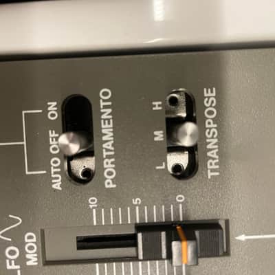 Roland SH-101 32-Key Monophonic Synthesizer 1982 - 1986 - Gray image 5