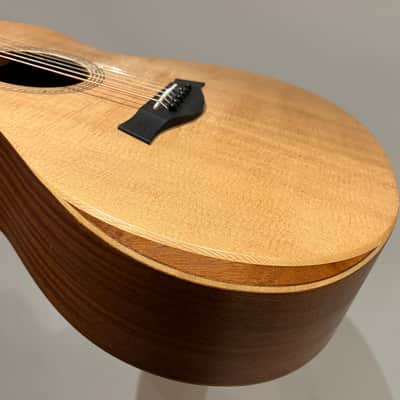 Taylor Academy 12e 2019 - 2022 - Natural image 9