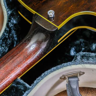 King Snake Curtis | Tobacco Sunburst image 16