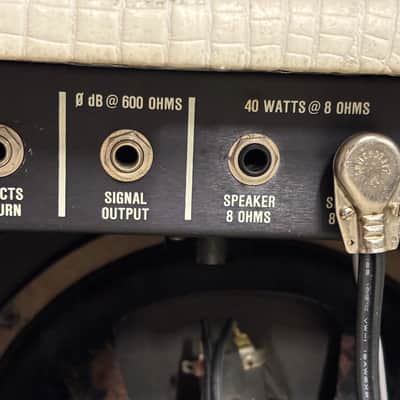Randall RG50 112 Snakeskin Tolex w/ JAGUAR 12" RES-80 Speaker Great Condition image 12