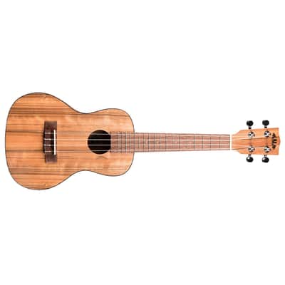Pacific Walnut Concert Kala image 7