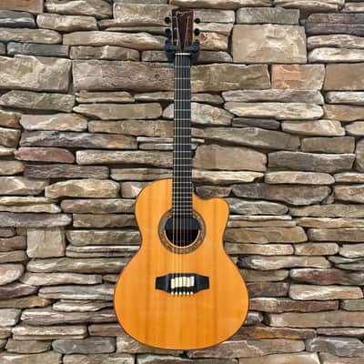 Linda Manzer Sitar Acoustic 1997 w/ Hardshell Case image 1