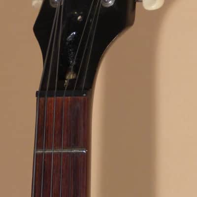1966 Epiphone Sorrento e452 image 7