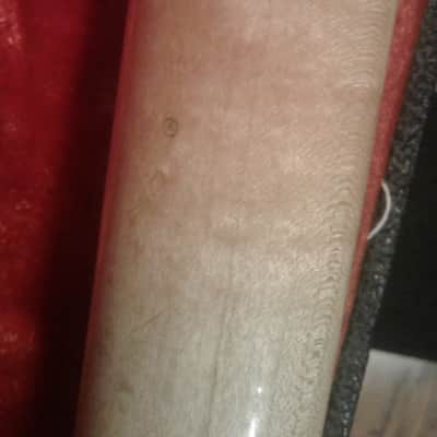 Carvin DC 150 image 14