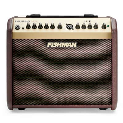 Fishman Loudbox Mini with Bluetooth PRO-LBT-500 image 1