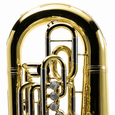 Eastman EBF861 Professional F Tuba in Clear Lacquer image 11