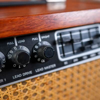 Mesa Boogie Mark III Simul-Class 3-Channel 75-Watt Guitar Amp Head 1985 - Black Stripe image 19