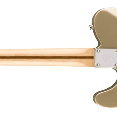 Fender Chris Shiflett Telecaster Deluxe Rosewood FB Shoreline Gold with Case image 2