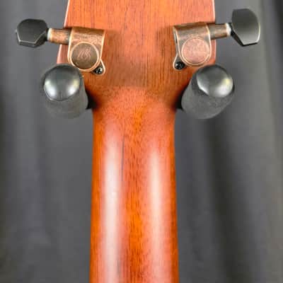 Breedlove Pursuit EX S Concert TE CE 2023 - Tigers Eye image 5