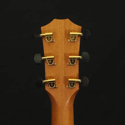Taylor Liberty Tree 2002 - Tulip Poplar image 7