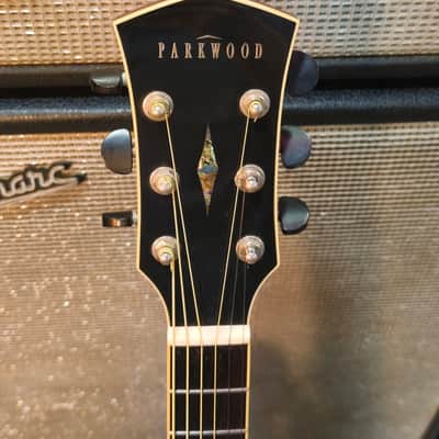 Parkwood PW-560 Electrified with Gigbag image 2
