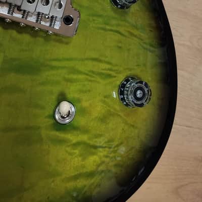 PRS CE24 CC - Eriza Verde Smokeburst image 2