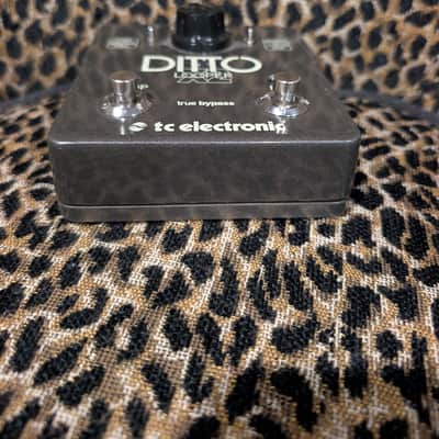 TC Electronic Ditto X2 Looper 2014 - Present - Black Bild 2