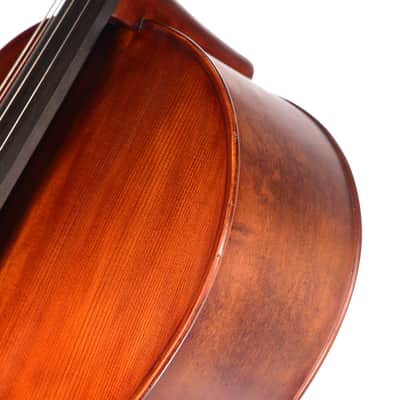 Scherl & Roth SR55 Galliard Student Cello - 4/4 image 5