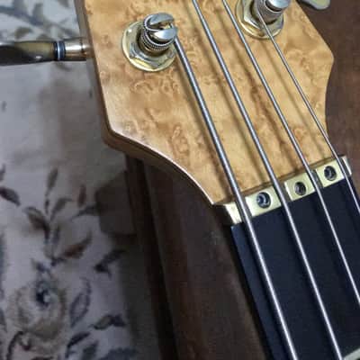 Alembic Spoiler Explorer 4 String Bass Guitar image 2