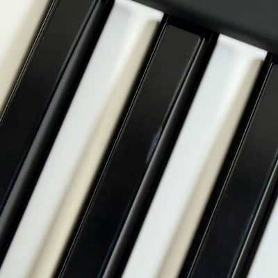 Immagine Waldorf STVC String Synthesizer / Vocoder - 5