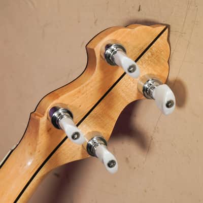 2010s Eastman Whyte Laydie-Style 5-String Openback Banjo (VIDEO! Fresh Work, Ready) image 9