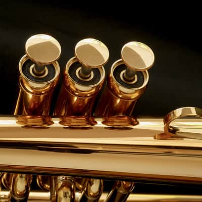 Brand New Adams Sonic Flugelhorn in Gold Lacquer! image 4