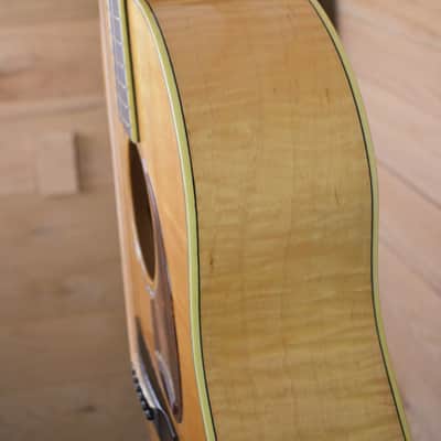 Galloup Dreadnought 2000s - natural image 5