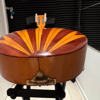 Vintage Bowlback 12 String Mandolin - Mandriola / Trichord image 11