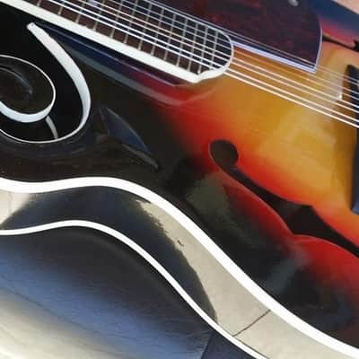 Berkeley Sunburst F-Style Mandolin Maple Back/Side image 6