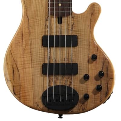 Lakland Skyline 55-01 Deluxe Spalted Maple Bass Guitar - Natural with Indian Laurel Fingerboard and Black Hardware image 2