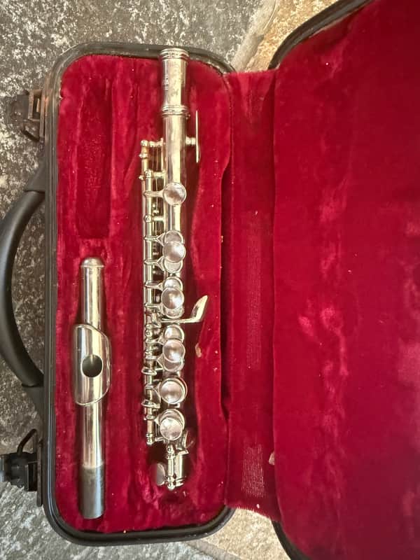 Piccolo with Case image 1