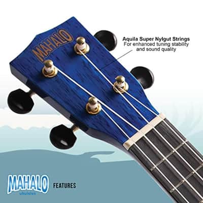 Mahalo Hano Series MH2 Concert Ukulele Transparent Blue image 5