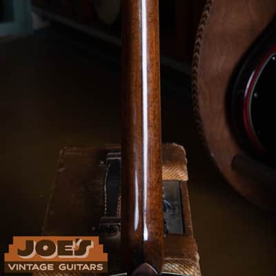 Washburn Tenor Banjo 1920s image 11