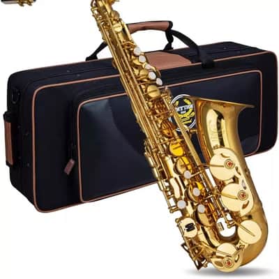 New 2025 Eb Alto Saxophone – Professional Brass Sax with Carrying Case, Full Cleaning Kit & Stand image 3