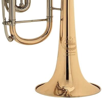 B&S 3005/3TR-L in B image 5
