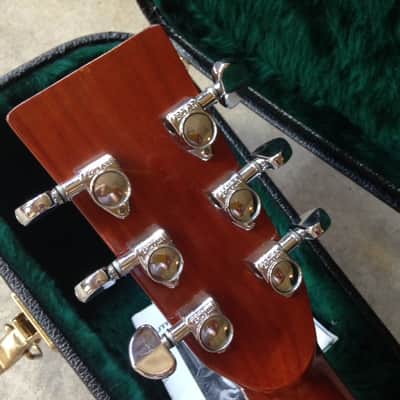 Zager ZAD-50 Mint Acoustic guitar image 1
