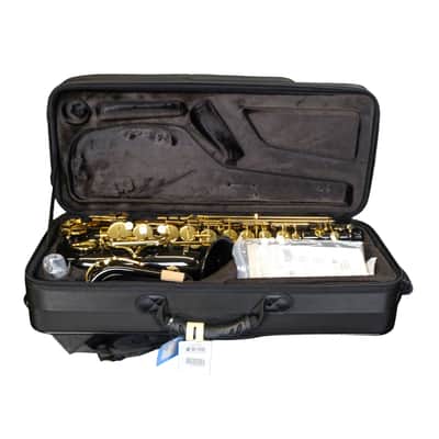 Jupiter JAS1100GOQ 1100 Performance Series Alto Saxophone - Gilded Onyx image 13