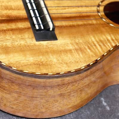 Kamaka 2020 HF-2DI Concert Deluxe Gloss Top image 4