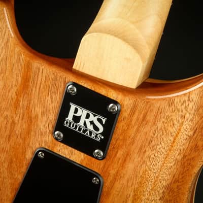 2023 - PRS CE 24 Semi-Hollow - Eriza Verde #364614 image 11